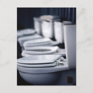 Bathroom Break!! Postcard