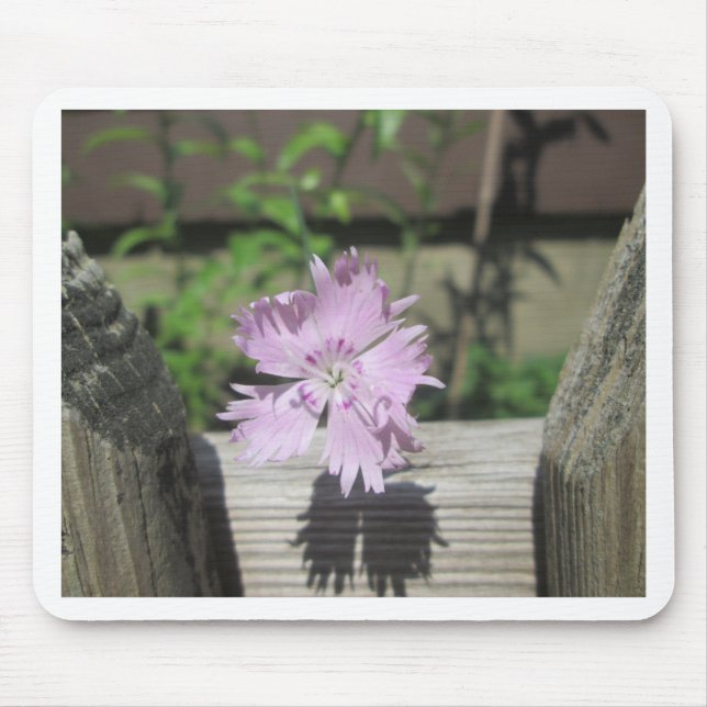 Baths Pink Dianthus on Fence Mouse Pad (Front)
