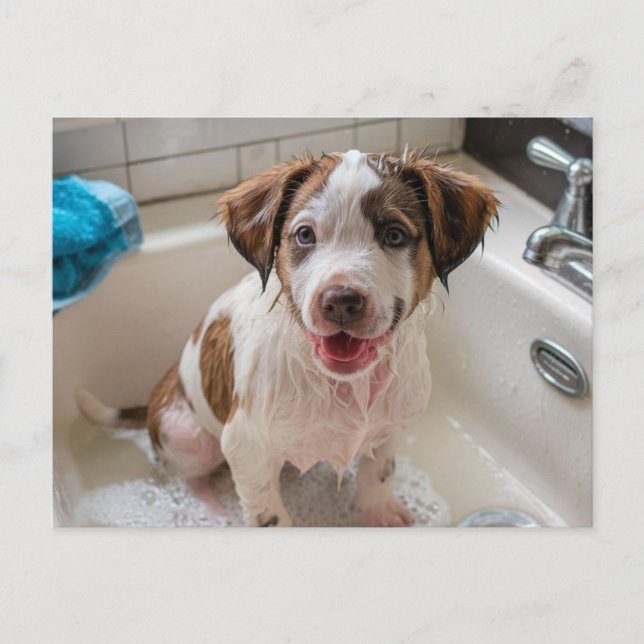 Bathtime Puppy dans Sink carte postale (Devant)