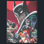 Batman Adventures Dangerous Dames & Demons Magnet<br><div class="desc">This comic cover for Batman Adventures "Dames & Demons" is perfect for all classic Batman fans! Adorn your walls with this on a print,  cozy fleece blanket,  or on many other personalized Zazzle products perfect for gifting or treating yourself!</div>