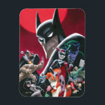 Batman Adventures Dangerous Dames & Demons Magnet<br><div class="desc">This comic cover for Batman Adventures "Dames & Demons" is perfect for all classic Batman fans! Adorn your walls with this on a print,  cozy fleece blanket,  or on many other personalized Zazzle products perfect for gifting or treating yourself!</div>