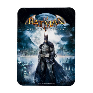 Batman: Arkham Asylum   Game Cover Art Magnet