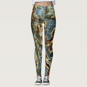 Batrachia Frogs by Ernst Haeckel Leggings