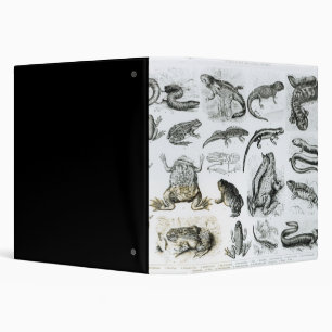 Batrachians and other Amphibia Binder