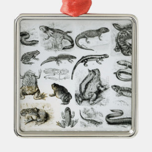 Batrachians and other Amphibia Metal Ornament