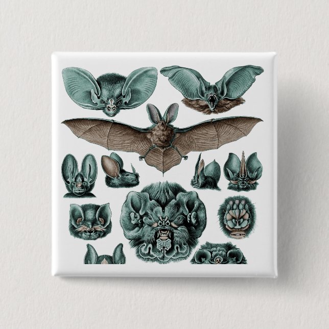 Bats by Ernst Haeckel 2 Inch Square Button (Front)