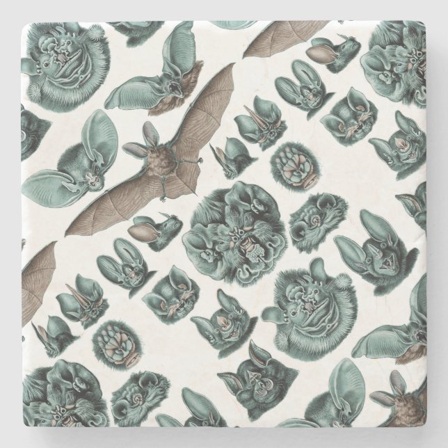 Bats Chiroptera Plate 67 Stone Coaster (Front)