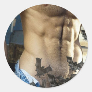 Bats in the attic! classic round sticker