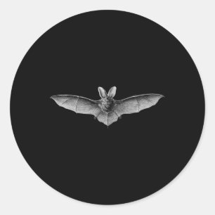 Bats Scientific Illustration Drawing Biology Art H Classic Round Sticker