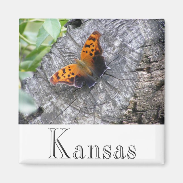 Battered Beauty Magnet (Front)