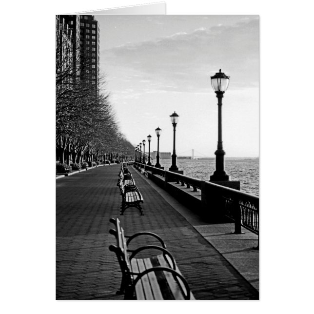 Batterie Park City I (Devant)