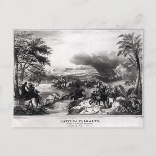 Battle of Palo Alto Postcard