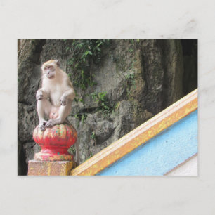 batu caves monkey postcard
