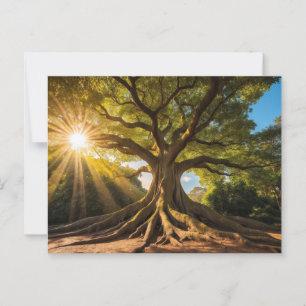 Baum in Sonnenstrahlen Postcard