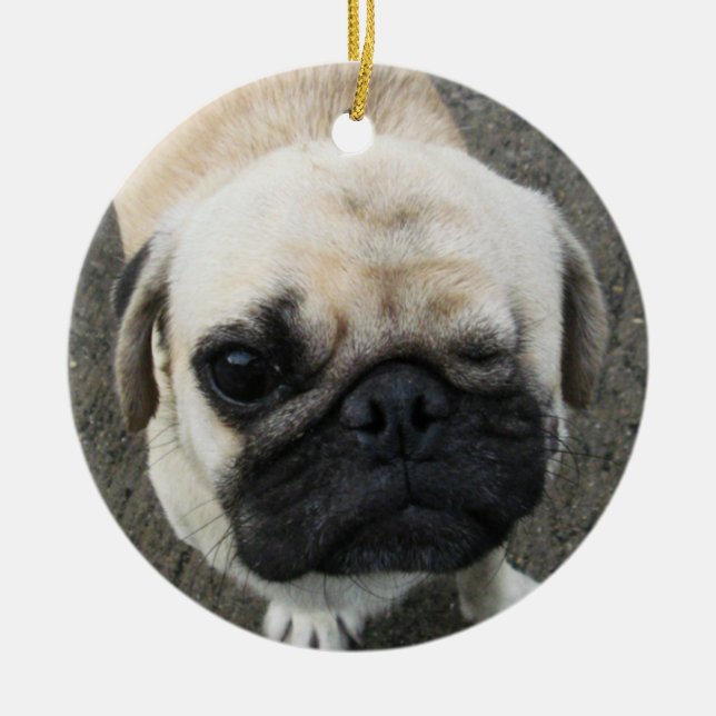 Bauwk ... Pug Dog ... Thailand Ceramic Ornament (Front)