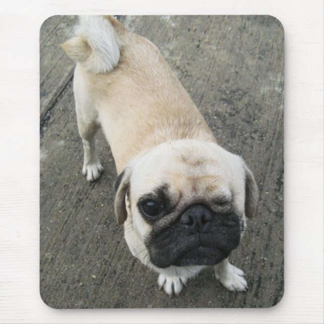 Bauwk ... THAI PUG DOG Mouse Pad (Front)