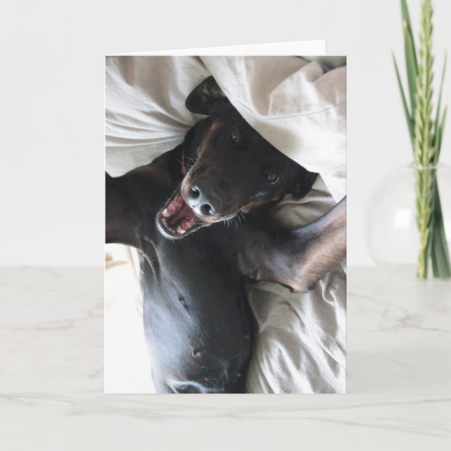 Bavard la carte de voeux de Selfie de chien de (Devant)