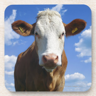 Bavarian cow against blue sky coaster