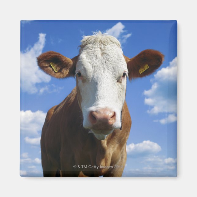 Bavarian cow against blue sky magnet (Front)