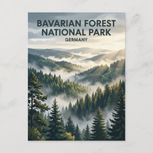Bavarian Forest National Park Germany Postcard