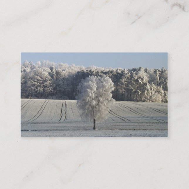Bavarian Frost Business Cards (Front)