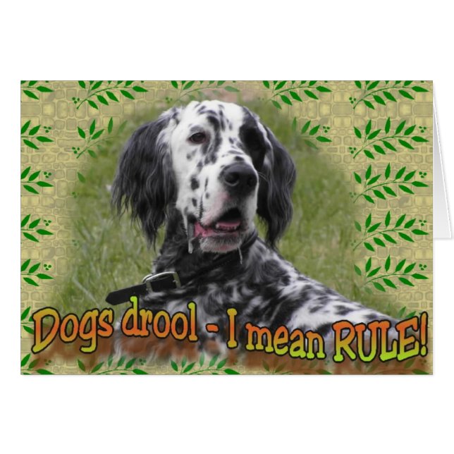 bave ou RÈGLE (Devant horizontal)