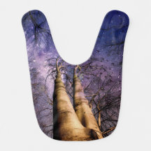 Forêt enchantée