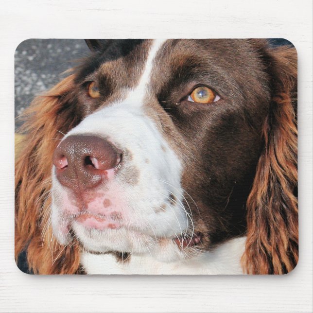 Baxter - English Springer Spaniel Photo-06 Mouse Pad (Front)
