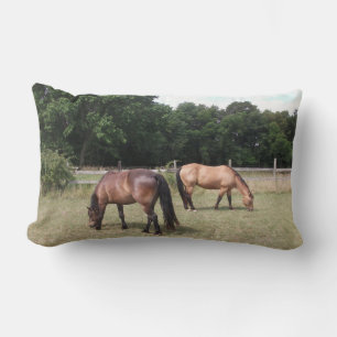 Bay and Dun Horses Grazing in Pasture Lumbar Pillow