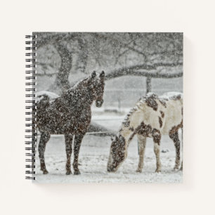 Bay and Paint Horses in Falling Snow Notebook