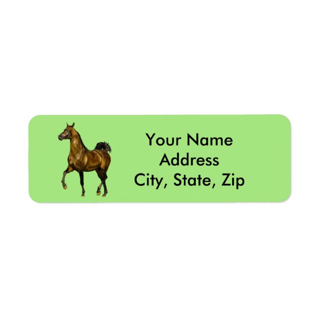 Bay Arabian Horse (Front)