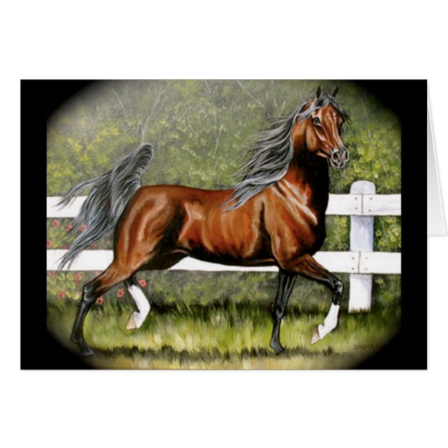 Bay Arabian Horse Running (Front Horizontal)