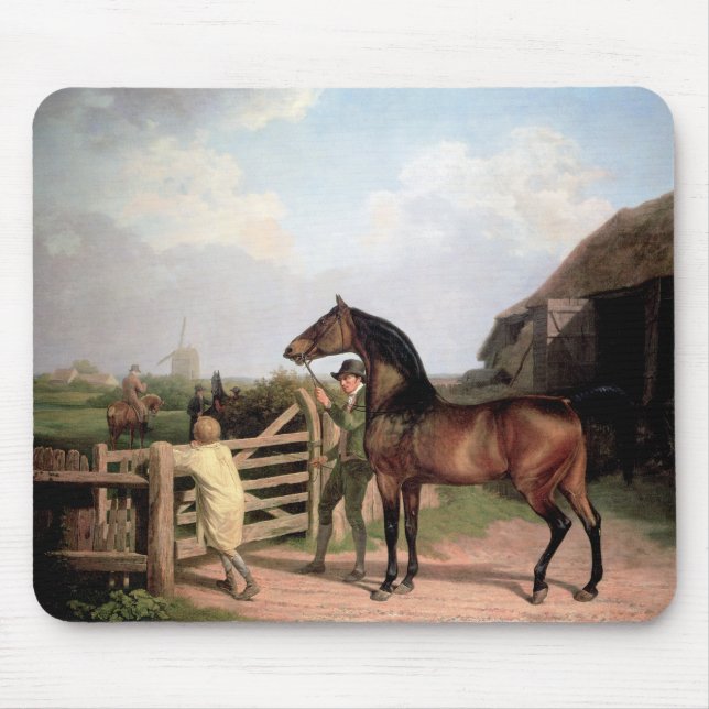Bay Ascham ~ a stallion lead through a gate Mouse Pad (Front)