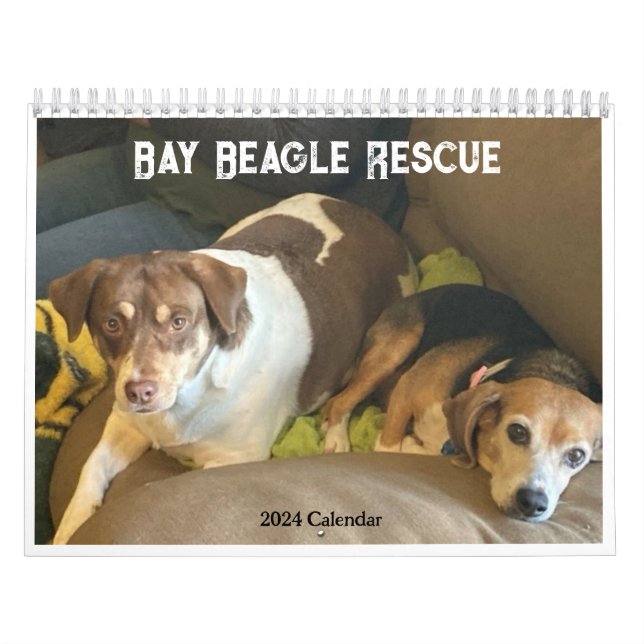 Bay Beagle Rescue 2024 Calendar (Cover)