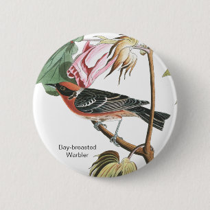Bay-breasted Warbler, Audubon, Wood Warbler, Bird 2 Inch Round Button