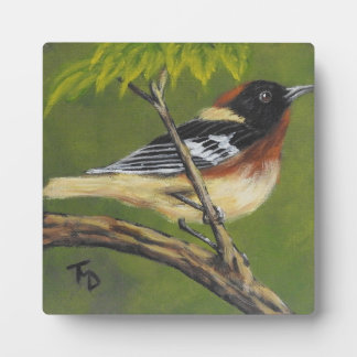 Bay-Breasted Warbler - Tabletop Plaque with Easel