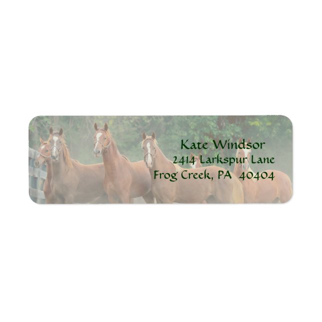 Bay Chestnut Brown Horses in Field with Trees (Front)