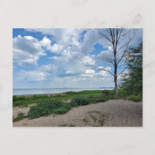 Bay City State Park Postcard