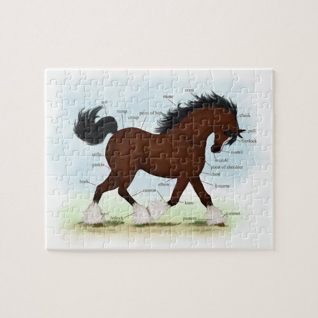 Bay Clydesdale Horse Anatomical Chart Educational Jigsaw Puzzle (Horizontal)