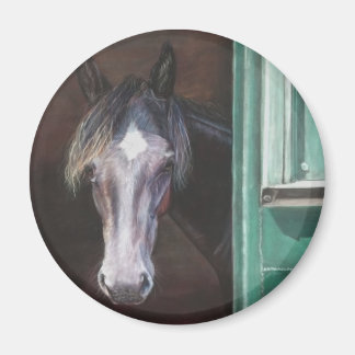 Bay foal peering out of barn magnet