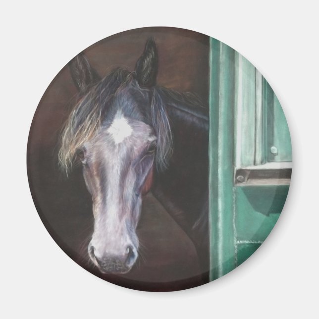 Bay foal peering out of barn magnet (Front)