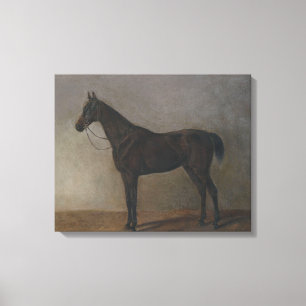 Bay Gelding Horse (by Albrecht Adam) Canvas Print