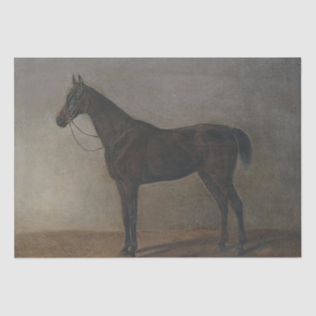 Bay Gelding Horse (by Albrecht Adam) Tissue Paper (Front)