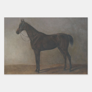 Bay Gelding Horse (by Albrecht Adam) Wrapping Paper Sheet