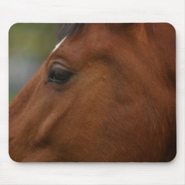 Bay Horse Closeup Mouse Pad (Front)