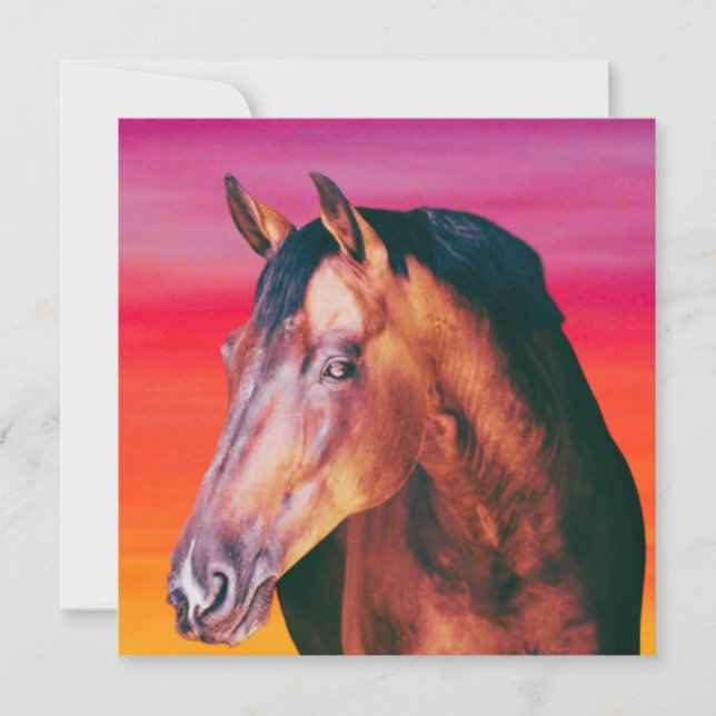 Bay Horse Gradient    (Front)