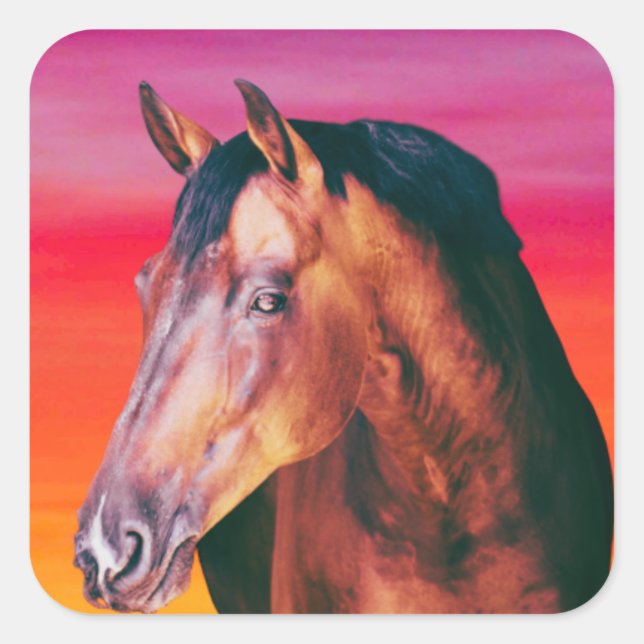 Bay Horse Gradient Square Sticker (Front)