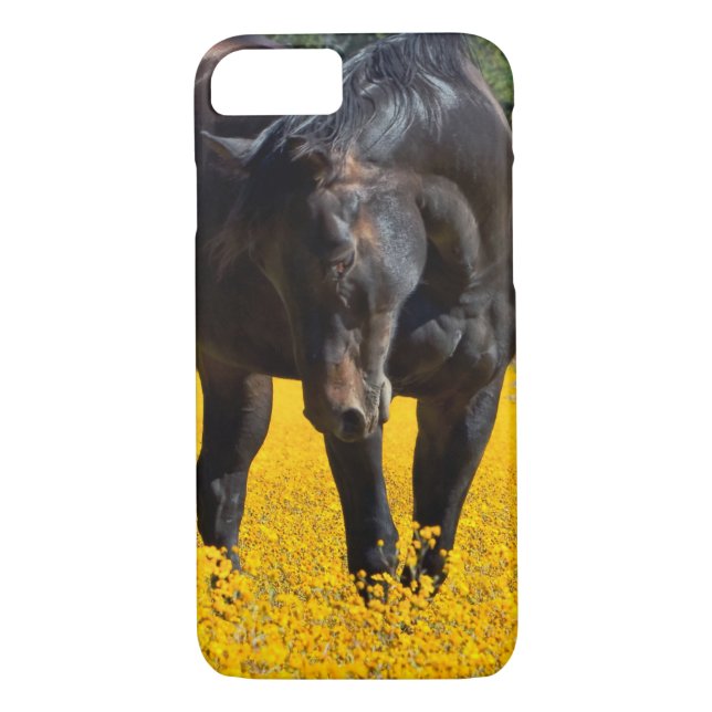 Bay Horse in a Field of Yellow Flowers Case-Mate iPhone Case (Back)