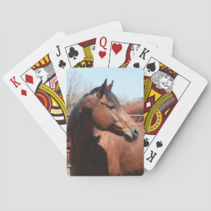 Bay Horse Playing Cards