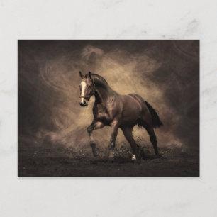 Bay Horse Postcard